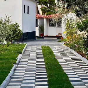 dhoma-plazhi-agimi.albaniahotels.org/